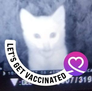 Meet your Posher, Janet